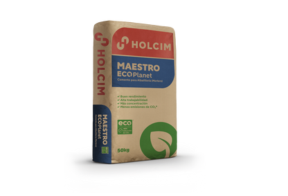 MORTERO MAESTRO 50 KG